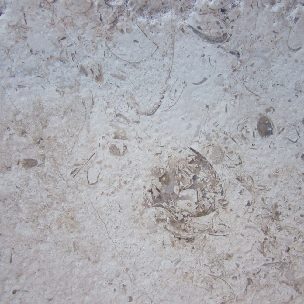 Creme Fóssil Escovado - 1D